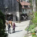Grosse In By Interhome *